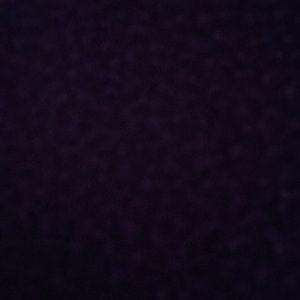 Meet your Posher, Flora